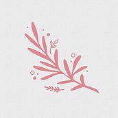 Identidad corporativa | Capri Cosmética Natural. Design, Digital Design, Graphic Design, and Traditional illustration project by Daniela Samoilovich - 08.12.2020