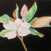 Mi Proyecto del curso: Ilustración botánica con acuarela. Un progetto di Pittura ad acquerello di Liliana Alonso - 22.09.2020
