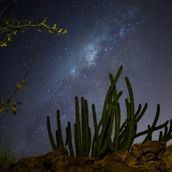 Noche en el desierto. Outdoor Photograph project by fernandomz1991 - 09.21.2020