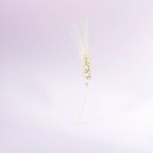NATURE IS PRECIOUS. Een project van  Concept art,  Creativiteit, Artistieke fotografie, Fotografie y  Scenografie van Amandine VIGNON - 04.04.2017