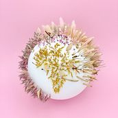 LET'S BLOOM THE WORLD. Een project van  Concept art, Craft,  Creativiteit, Digitaal ontwerp, Digitale fotografie, DIY, Artistieke fotografie, Fotografie,  Scenografie y Studiofotografie van Amandine VIGNON - 12.04.2020