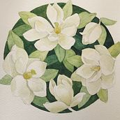 Magnolias in « negative watercolor ». Un projet de Aquarelle de Magalie Roy - 23.09.2020