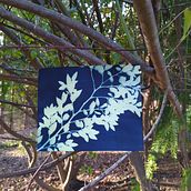 Cianotipia en el bosque. Design, and Photograph project by Lola Rodriguez - 09.24.2020