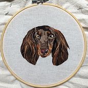 Mi Proyecto del curso: Needle painting para principiantes. Embroider project by John John - 09.25.2020