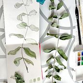 Mi Proyecto del curso: Cuaderno Botánico en acuarela - Mi cuaderno. Traditional illustration, Watercolor Painting, Botanical Illustration, and Sketchbook project by Cecilia Mora Bonilla - 10.01.2020