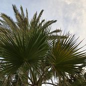 Mi Proyecto del curso: Fotografía profesional para Instagram. Een project van  Creativiteit van ALBA ALSOUED - 27.09.2020