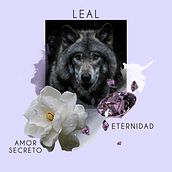 La historia de un lobo enamorado — Seer Design. Un proyecto de Diseño de moda, Estampación e Ilustración digital de Sofia Escauriza - 25.09.2020