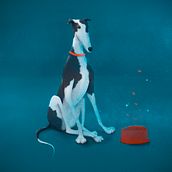 Mi Proyecto del curso: Pintura digital de personajes: ilustra con luz y color. Un progetto di Belle arti, Disegno artistico, Disegno digitale e Pittura digitale di Francisco Churruarin Gerber - 28.09.2020