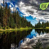 Pensamiento ECO: blog de información ambiental. Un progetto di Comunicazione di bertich23 - 30.09.2020