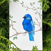 Mi Proyecto del curso: Ilustración naturalista de aves con acuarela. Watercolor Painting project by Daniela Zamora Escamilla - 09.29.2020