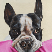 Retratos de Mascotas  Ein Projekt aus dem Bereich Malerei mit Acr und l von Ana Sofía Budeguer - 04.10.2020