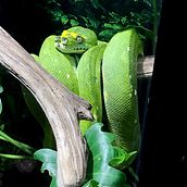 Inspiración natural. Lettering project by Graci Valdez Luna - 10.01.2020