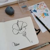 Reto Ilustración: 31 días, 31 dibujos de flores Ein Projekt aus dem Bereich Zeichnung, Bleistiftzeichnung und Botanische Illustration von Valeria Visoso - 01.10.2020