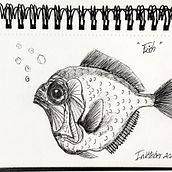Inktober 2020. Projekt z dziedziny Trad, c i jna ilustracja użytkownika Merce Majo - 01.10.2020
