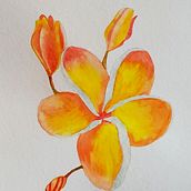 Mi Proyecto del curso: Ilustración botánica con acuarela. Watercolor Painting project by kristalcel - 12.13.2020