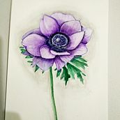 My project in Negative Watercolor Painting for Botanical Illustration course. Un progetto di Disegno di Sigal Ben Haim - 02.10.2020