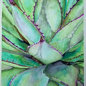 Succulents. Fine Arts project by Letícia Lago - 10.05.2020