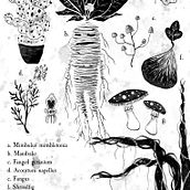 Witchy illustrations. Digital Illustration project by Perle Guarino-Vignon - 10.05.2020