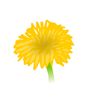 Flor Saludable. Un progetto di Br, ing, Br e identit di María Despeinada - 06.10.2020