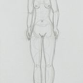 Meu projeto do curso: Desenho anatômico para principiantes Ein Projekt aus dem Bereich Bleistiftzeichnung, Digitale Zeichnung und Traditionelle Illustration von ribeirocuca - 06.10.2020