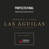 Bodegas y Cavas Las Águilas (unidad de negocio: Vinoteca Mendoza) | Introducción al community management. Communication, Graphic Design, Marketing, Content Marketing, Digital Marketing, Facebook Marketing & Instagram Marketing project by María del Cielo Ferrer Mangoni - 10.11.2020