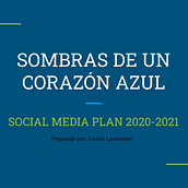 Mi Proyecto del curso: Social Media Plan para poemario. Marketing project by ylambertus13 - 10.21.2020