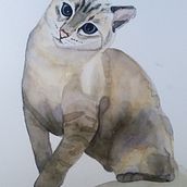 Mi gatito. Watercolor Painting project by clau_sg86 - 10.13.2020