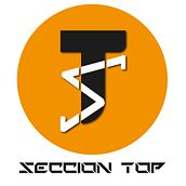 Mi Proyecto del curso: Diseño de marcas con retícula. Br, ing & Identit project by Danyael Badillo - 10.16.2020