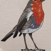 Listo para Volar !! Pequeño Petirrojo :). Un progetto di Ricamo di Sonnia Molina - 26.10.2020