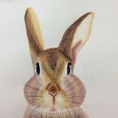 Mi Proyecto del curso: Técnicas experimentales de acuarela para principiantes . Watercolor Painting project by gabynavarro_cba - 10.26.2020