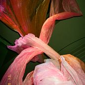 Final project Community Management course . % Katherine Shevchuk tarafından hazırlanan İçerik Pazarlaması projesi - 10.15.2020