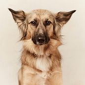 Lobi. Un proyecto de Fotografía de Alba Metzger - 19.10.2020