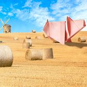 Paper Pig. Photographic Composition, Graphic Design, Art Direction, Photomontage, Photograph, Post-production, and Photo Retouching project by Carlos Wey - 10.22.2020