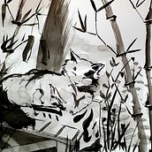 Cat in Kyoto. Ink Illustration, and Children's Illustration project by Akemi Morita Nakahara - 10.24.2020