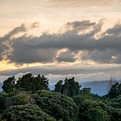 Mi Proyecto del curso: Amanecer en el bosque. Outdoor Photograph project by josgonzalez02 - 11.16.2020