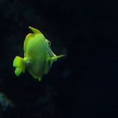 Mi Proyecto del curso: Guía práctica para aprender a manejar tu cámara digital desde cero. Een project van Fotografie van Bety - 25.10.2020