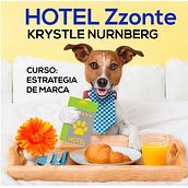 KRYSTLE NURNBERG - INTRODUCCIÓN A LA ESTRATEGIA DE MARCA. Br e ing e Identidade projeto de Kiki Nurnberg - 13.12.2020
