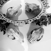 My final project in Practice Guide to Learn to Use your Digital Camera from Scratch course. Een project van Digitale fotografie van Nadia Stocker - 27.10.2020