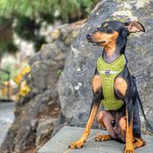 Los comienzos. Een project van Fotografie voor Instagram van Cristina CJ - 27.10.2020