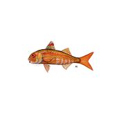 Ilustra peces. Projekt z dziedziny Design, Trad, c i jna ilustracja użytkownika Angélica López de la Manzanara - 14.11.2020