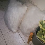 Diseño de plantilla y destacadas. Un proyecto de Bordado, Costura, Creatividad y Producción audiovisual					 de Julia Porporato - 29.10.2020