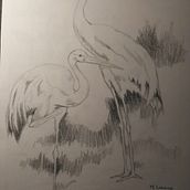 Zancudas. Un proyecto de Bocetado, Dibujo a lápiz y Sketchbook de Mariana Fernández Lozano - 30.10.2020