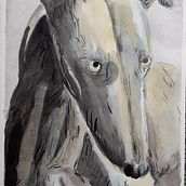 Algunos de los muchos animalitos pintados con las técnicas del curso :). Watercolor Painting project by ncirauqu - 10.30.2020