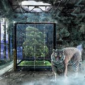 Mi Proyecto del curso: Secretos del fotomontaje y el retoque creativo. Fine Arts, Photographic Composition, Concept Art, Photomontage, Traditional illustration, and Photo Retouching project by Cristian Moro - 11.02.2020