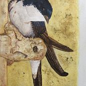 Mi Proyecto del curso: Ilustración naturalista de aves con acuarela. Watercolor Painting project by antoniomlp - 11.02.2020