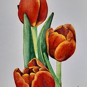 Tulipanes en acuarela. Traditional illustration, Botanical Illustration, and Watercolor Painting project by Anna Arilla Nogueras - 11.02.2020