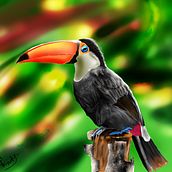 Toucan. Digital Drawing, and Digital Painting project by Biswajit Pattanayak - 11.02.2020