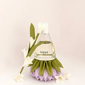 Mi Proyecto del curso: Diseño de sets para fotografía de producto. Product Photograph project by moestudi - 11.04.2020
