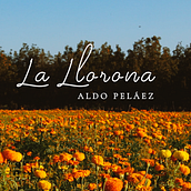 Mi Proyecto del curso: Hicimos el video de La Llorona; canción de Aldo Peláez. Film, Video, and TV project by Abraham de Jesús Vargas Valencia - 11.04.2020