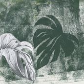Portfolio. Een project van  Botanische illustratie, Collage y Tekening met potlood van Tineke Thielman - 05.11.2020